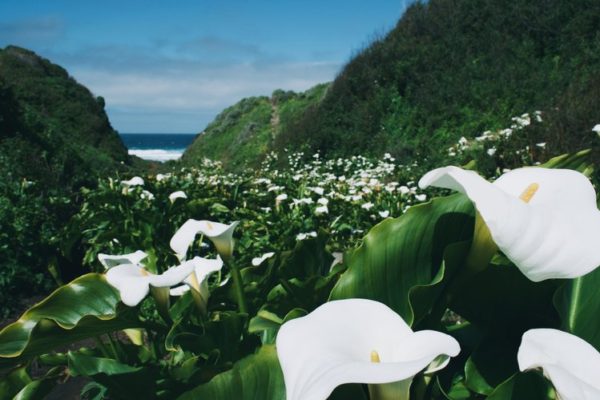 Personalized Oncology Care of Monterey Bay